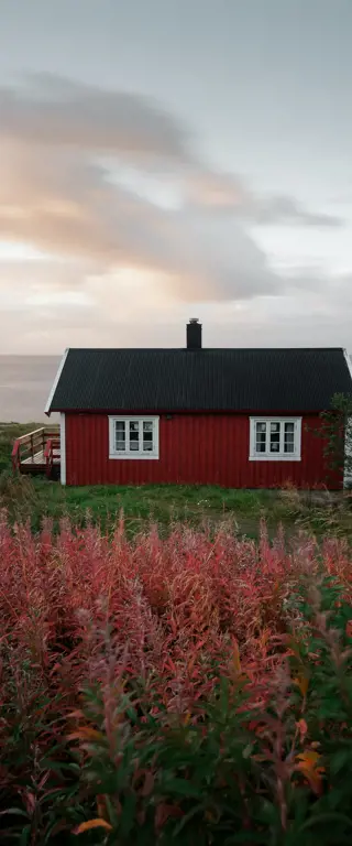 Ein Ferienhaus in Norwegen mieten - mit unseren Tipps